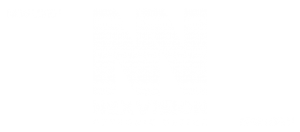 Nexvision's new logo