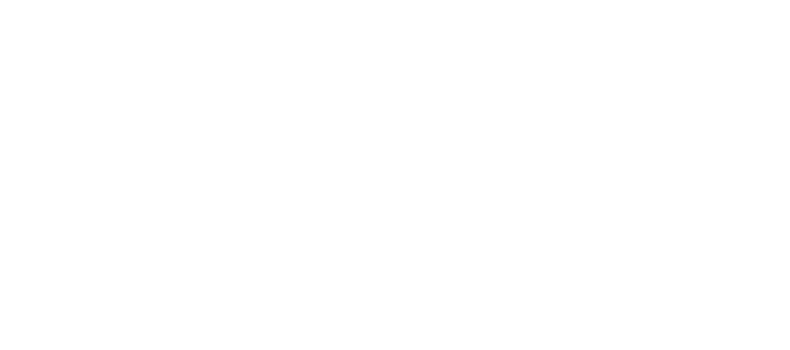 Nexvision's new logo